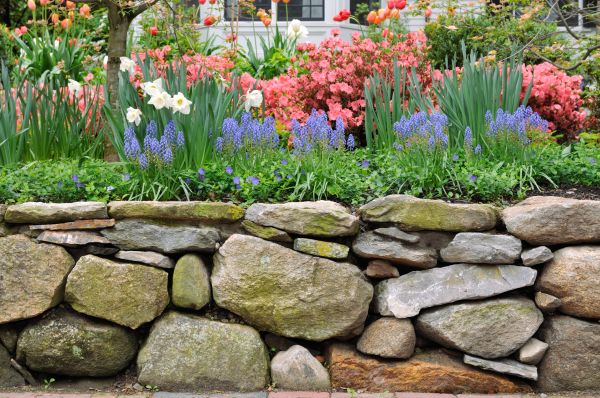 Stone Wall Hardscaping in Allentown